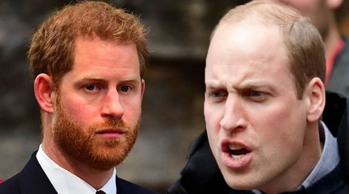 Prince William ‘spitting mad’ as Prince Harry breaks Princess Diana promise